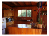 uploaded image