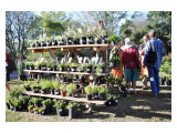 FYNBOS FESTIVAL @ GARDEN ROUTE BOTANICAL GARDEN FYNBOS FESTIVAL @ GARDEN ROUTE BOTANICAL GARDEN