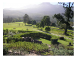 George Botanical Gardens, Garden Route 