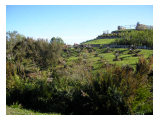 George Botanical Gardens, Garden Route 