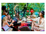 Cocomo Restaurant 