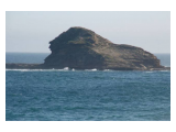 GOLDEN LION ADVENTURES SAFARI TOURS SOUTH AFRICA SEDGEFIELD GOLDEN LION ADVENTURES SAFARI TOURS SOUTH AFRICA SEDGEFIELD