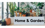 Home and garden Decor stalls Mosaic Market Sedgefield