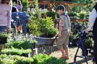 FYNBOS FESTIVAL @ GARDEN ROUTE BOTANICAL GARDEN