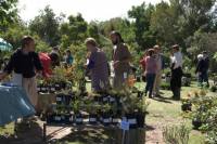 Autumn Plant Sale at Botanical Gardens