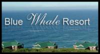Blue Whale Resort and Wedding venue