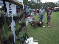 Car Boot Sale 8 March 2014 - Botanical Gardens, George