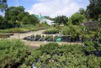 Garden Route Botanical Garden 