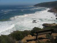 BLUE WHALE RESORT Valentine Special