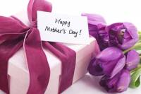 Mother’s Day Lunch on Sunday 13May Cocomo Restaurant Wilderness