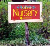  Eden Nursery and landscaping service Wilderness