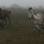 uploaded image