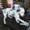 Thoroughbred DALMATIAN PUPPIES 4 SALE