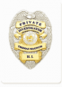 B.A.Investigations's picture