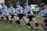 Western Cape Tug of War's picture